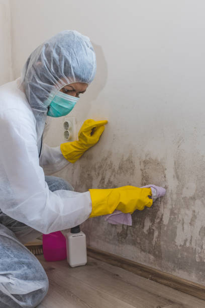 Best Indoor Air Quality Assessment  in Theodore, AL