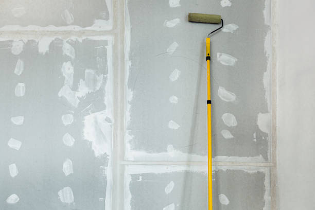 Best Black Mold Removal  in Theodore, AL