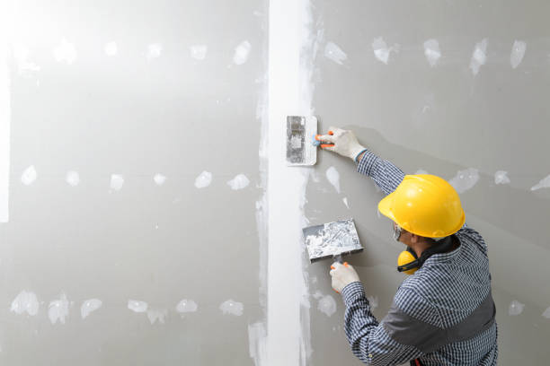 Best Commercial Mold Inspection  in Theodore, AL
