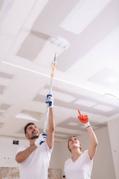 Mold Removal for HVAC Installations in Theodore, AL