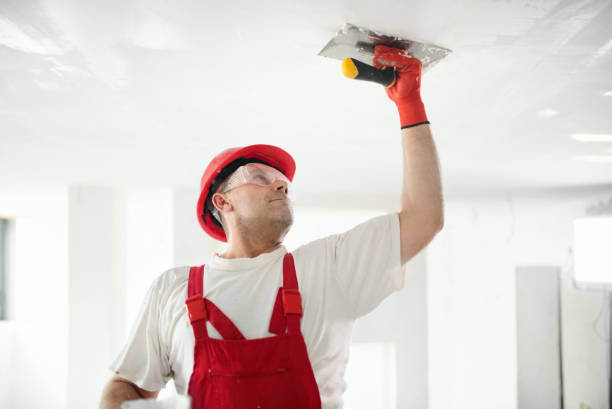 Asbestos and Lead Testing During Mold Inspection in Theodore, AL