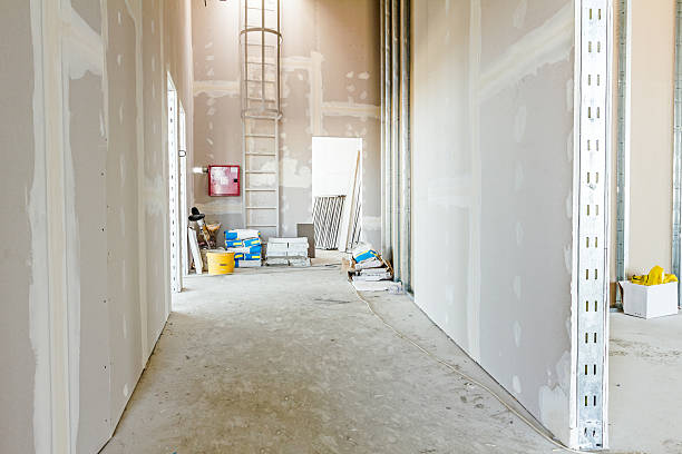  Theodore, AL Mold Removal Pros